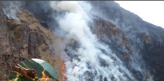 Foto: Evalúan acciones legales contra montañista responsable del incendio / Cortesía