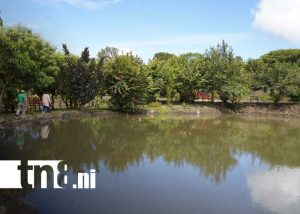 Foto: El Parque Boscoso Miguel Ángel Ortez se suma al circuito turístico de Madriz / TN8