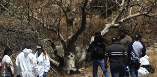Foto: 48 bolsas con restos halladas en México /Cortesía