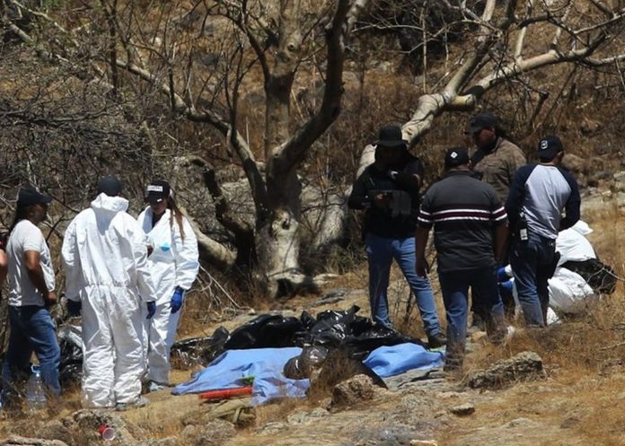 Foto: 48 bolsas con restos halladas en México /Cortesía Foto: 48 bolsas con restos halladas en México /Cortesía