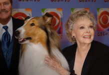 Foto: Muere a los 100 años icónica actriz de la serie 'Lassie' /Cortesía