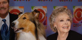 Foto: Muere a los 100 años icónica actriz de la serie 'Lassie' /Cortesía