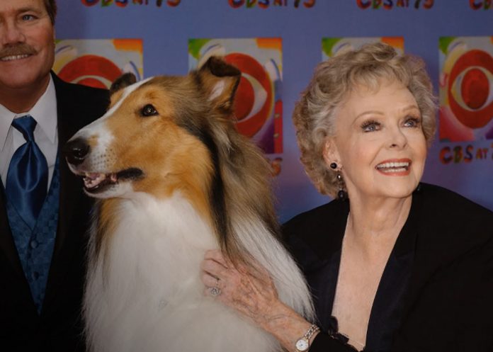 Foto: Muere a los 100 años icónica actriz de la serie 'Lassie' /Cortesía