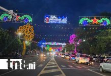 ¡Managua se ilumina! ENATREL instala decoraciones y árboles navideños en toda la capital Foto: ¡Managua se ilumina! ENATREL instala decoraciones y árboles navideños en toda la capital/TN8