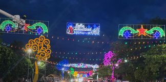 Foto: ¡Managua se ilumina! ENATREL instala decoraciones y árboles navideños en toda la capital/TN8
