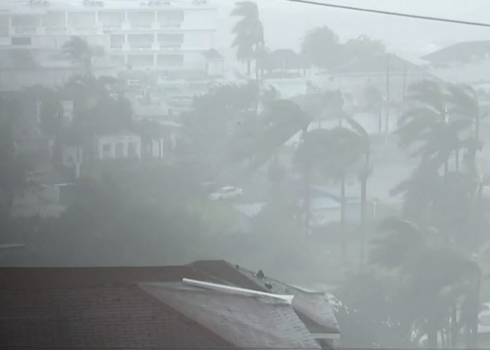 Foto: Melissa toca Jamaica /cortesía Foto: Melissa toca Jamaica /cortesía