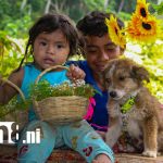 Campos de flores en Catarina atraen a turistas y fortalecen la economía local Foto: Catarina florece y enamora: turismo que impulsa la floricultura nicaragüense/TN8