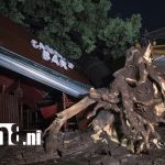 Fuertes lluvias dejan barrios de Managua inundados y árboles caídos Foto: Tormenta nocturna sacude Managua /TN8