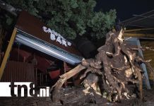 Fuertes lluvias dejan barrios de Managua inundados y árboles caídos Foto: Tormenta nocturna sacude Managua /TN8