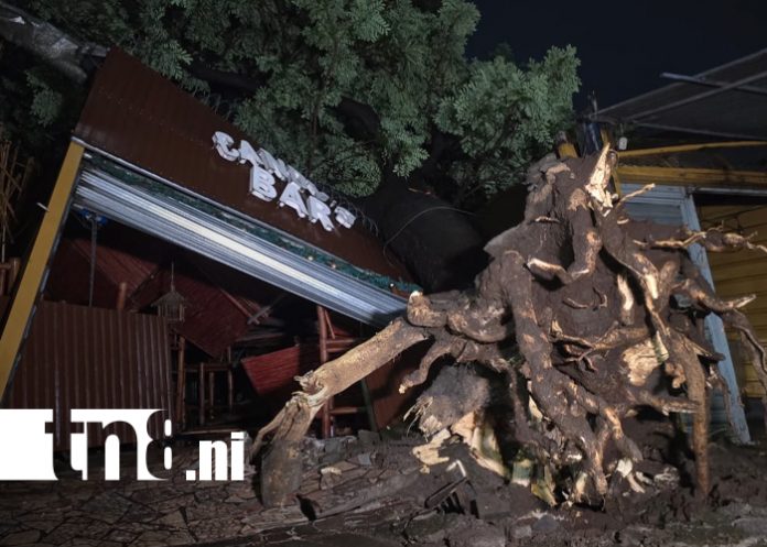 Foto: Tormenta nocturna sacude Managua /TN8 Foto: Tormenta nocturna sacude Managua /TN8