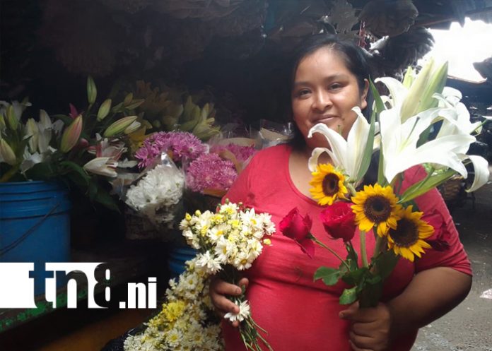 2 Foto:Granada se viste de colores y aromas para los homenajes/TN8