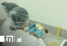 La UNA lidera la investigación agroindustrial con su nuevo laboratorio de hongos laboratorio