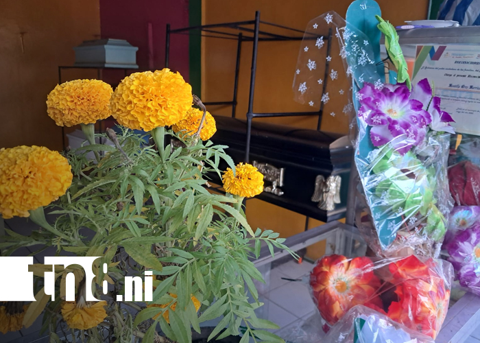 Foto: La Isla de Ometepe se activa: comercio listo para el Día de los Difuntos/TN8