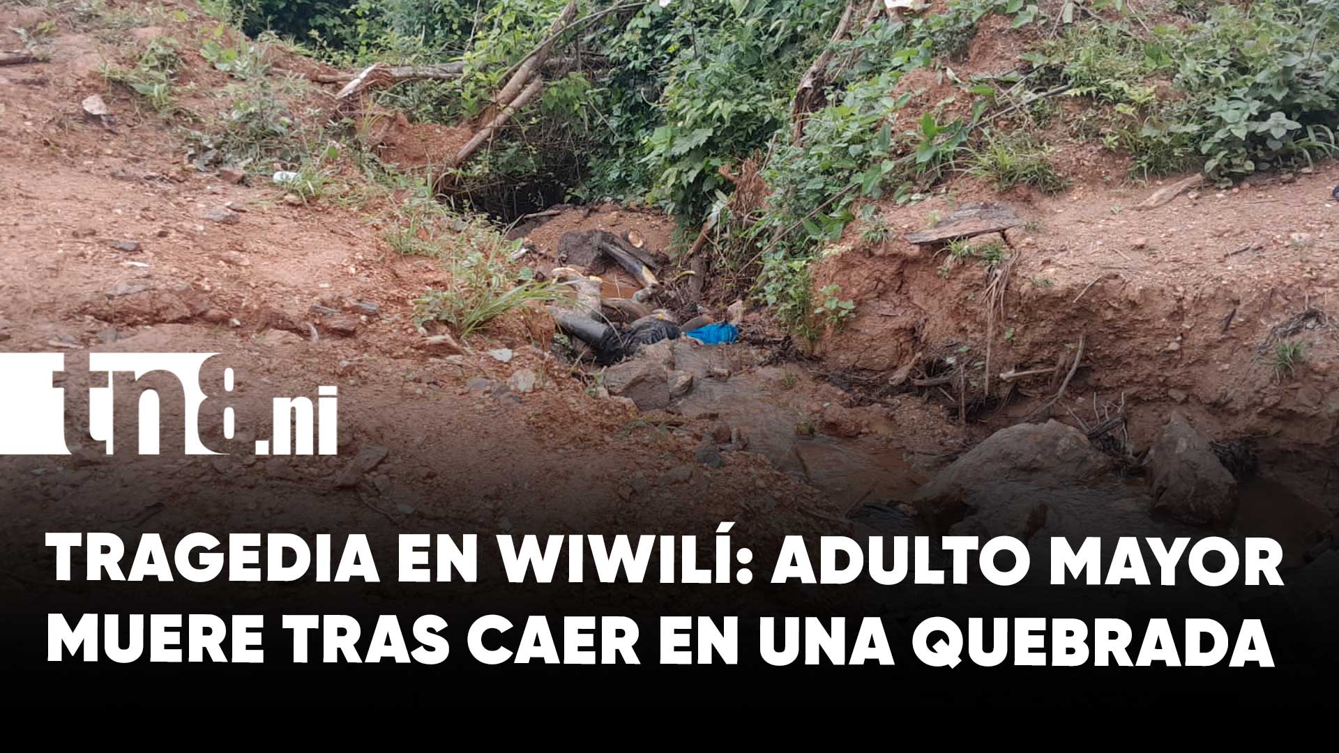 Adulto mayor pierde la vida al caer en una quebrada en Wiwilí, Nueva ...