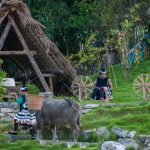 Medicina tradicional de la comunidad Guoshan Yao: Un tesoro ancestral de China Foto: El legado curativo de la comunidad Guoshan Yao/ Cortesía