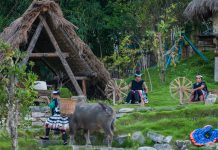Medicina tradicional de la comunidad Guoshan Yao: Un tesoro ancestral de China Foto: El legado curativo de la comunidad Guoshan Yao/ Cortesía