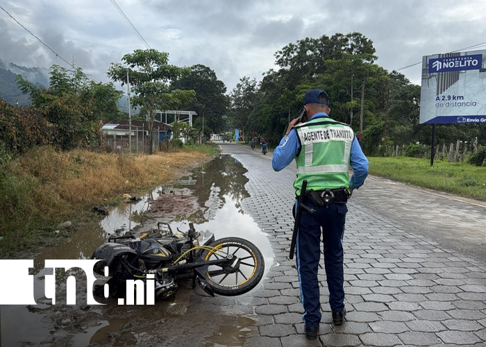 Foto: Accidente en Jalapa, Nueva Segovia: motociclista choca con un caballo/TN8