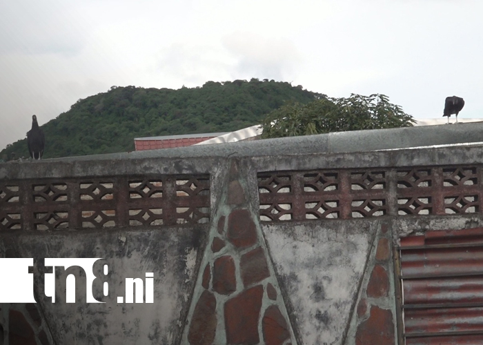Foto: Fuerte hedor alertó a vecinos: hallan muerto a hombre en vivienda abandonada en Estelí/TN8