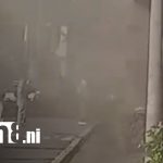 Invasión de «chayules» causa momentos incómodos a tripulantes de embarcación en Rivas Foto: Rivas bajo el ataque de zayules: Insectos sorprenden a tripulantes rumbo a Ometepe/TN8