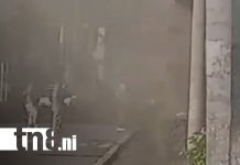 Invasión de «chayules» causa momentos incómodos a tripulantes de embarcación en Rivas Foto: Rivas bajo el ataque de zayules: Insectos sorprenden a tripulantes rumbo a Ometepe/TN8