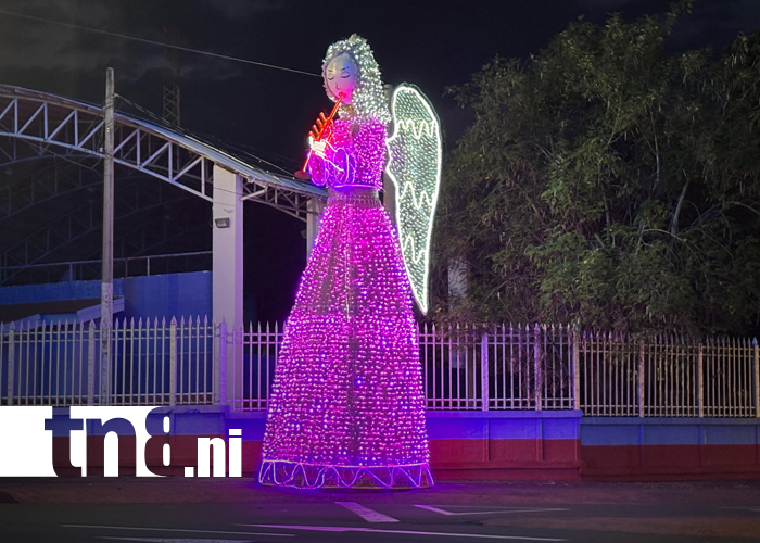 Foto: ¡Managua se ilumina! ENATREL instala decoraciones y árboles navideños en toda la capital/TN8