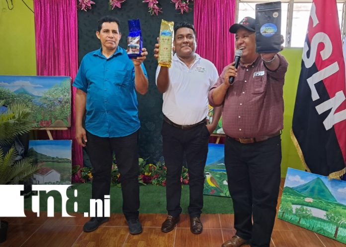 Foto: Diplomado exitoso fortalece la caficultura orgánica/TN8 Foto: Diplomado exitoso fortalece la caficultura orgánica/TN8