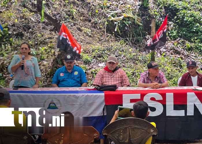 Foto: Nuevo puente en Río Blanco /TN8