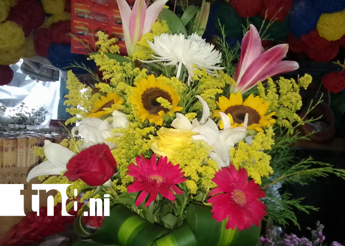 Foto:Granada se viste de colores y aromas para los homenajes/TN8