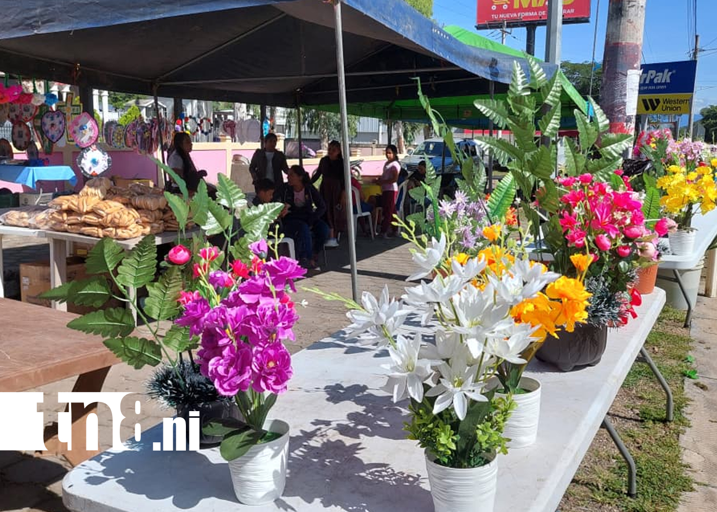 Foto: Diversidad de productos para el Día de los Difuntos en Somoto /TN8