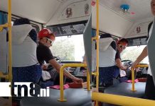 Chofer de la ruta 195 insulta a pasajera que grabó su imprudencia al volante Foto: Conductor insulta a pasajera por denunciar su imprudencia /TN8