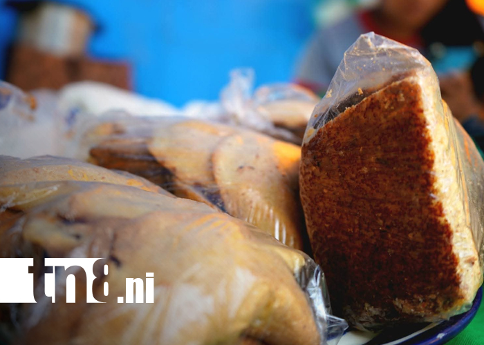 Foto: Feria departamentamental del maíz promueve la identidad cultural en Telpaneca, Madriz/TN8