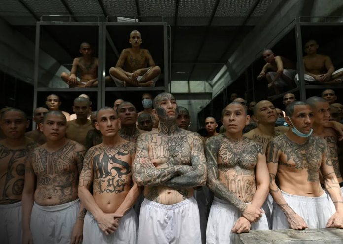 Foto: Fuga de pandilleros desata crisis en Guatemala /Cortesía Foto: Fuga de pandilleros desata crisis en Guatemala /Cortesía