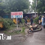 Imprudencias y afectaciones por fuertes lluvias y vientos en Managua Foto: fuertes vientos dejan caos y daños materiales en Managua/TN8