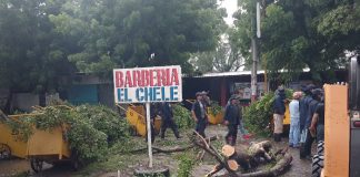Foto: fuertes vientos dejan caos y daños materiales en Managua/TN8