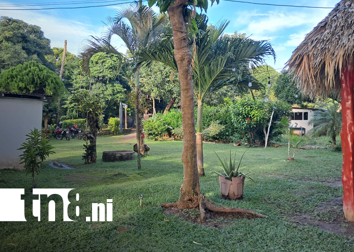 Foto: Hospedaje Los Chocoyos: descanso, aventura y sabor en la Isla de Ometepe/TN8