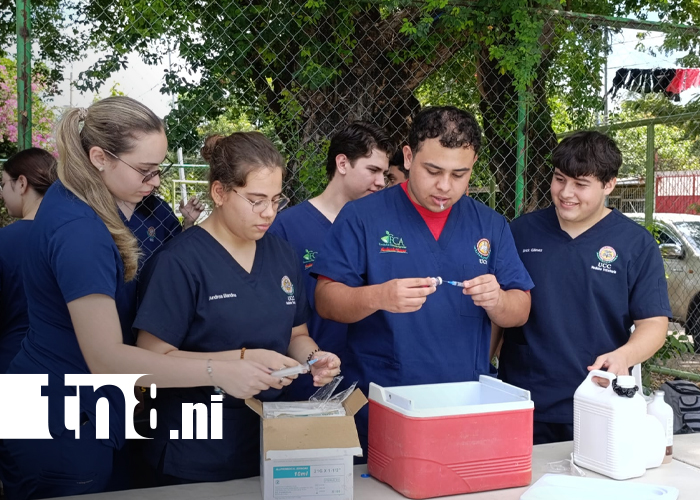 Foto: Jóvenes veterinarios de la UCC atienden a mascotas / TN8