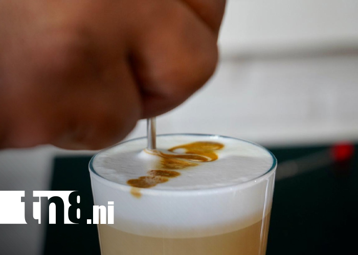 Foto: ¡Café con futuro! Inauguran primera escuela del café en San Juan del Río Coco/TN8