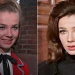 Muere Alicia Bonet, ícono del cine mexicano de los años 60 y 70 Foto: Los últimos años de Alicia Bonet /cortesía