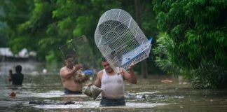 Foto: Tormentas intensas afectan México y mantienen a la población en alerta/ Cortesía