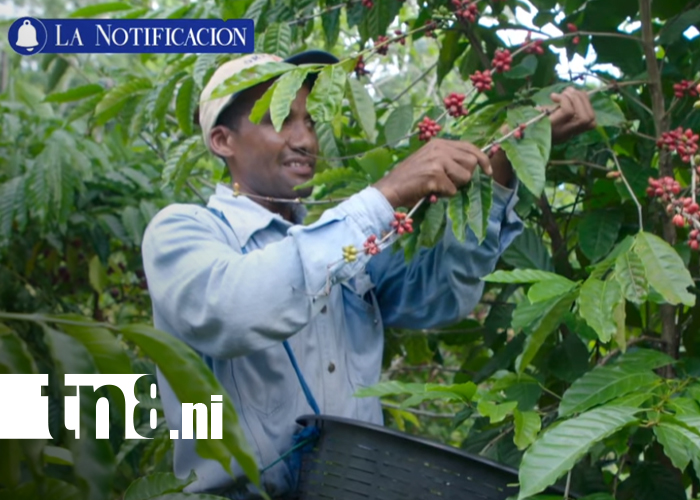 Foto: ¡Hacia un país más próspero! Nicaragua fortalece lucha contra la pobreza con Presupuesto 2026 /TN8