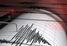 Alerta en el Caribe: sismo de 6,5 sacude territorio francés de Guadalupe Foto: Alerta en el Caribe: sismo de 6,5 sacude territorio francés de Guadalupe /Cortesía