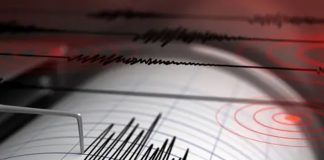 Foto: Alerta en el Caribe: sismo de 6,5 sacude territorio francés de Guadalupe /Cortesía