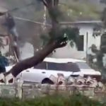 Huracán Melissa arranca techo y lanza a hombre al suelo en Jamaica (VIDEO) Foto: Daños por Huracán Melissa en Jamaica
