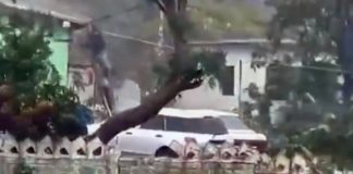 Foto: Daños por Huracán Melissa en Jamaica
