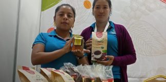Foto: Nicaragua deslumbra al mercado internacional con precios históricos/TN8
