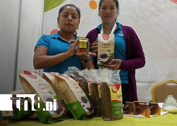 Foto: Nicaragua deslumbra al mercado internacional con precios históricos/TN8