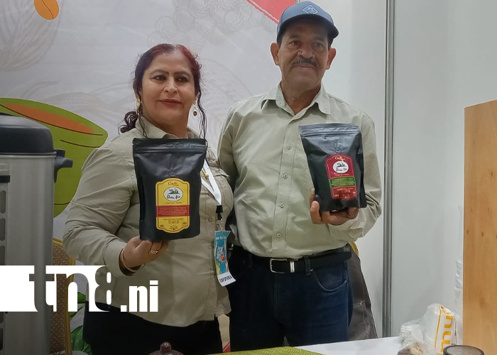 Foto: Nicaragua deslumbra al mercado internacional con precios históricos/TN8