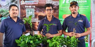 Foto: Cuarta Edición de la Expo Café Especial 2025 en ocotal, Nueva Segovia/TN8