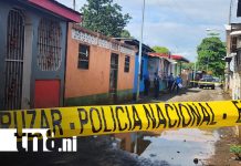 Misterioso hallazgo de un hombre muerto alarma al barrio Jorge Dimitrov Foto: Barrio Jorge Dimitrov en shock por muerte de hombre/ TN8
