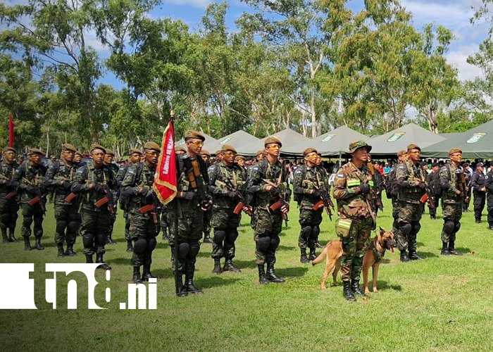 Foto: Plan de seguridad protege trabajadores y productores de café en Nicaragua / TN8